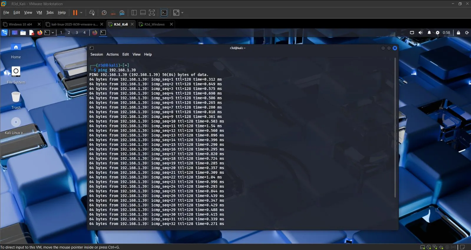 Ping test from Kali to the target