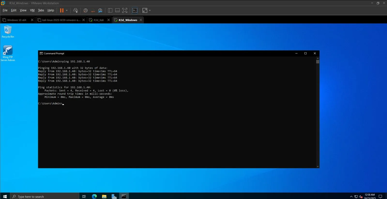 Ping test from the Windows host
