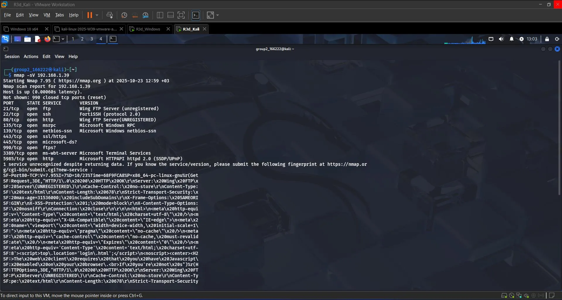 nmap service/version detection