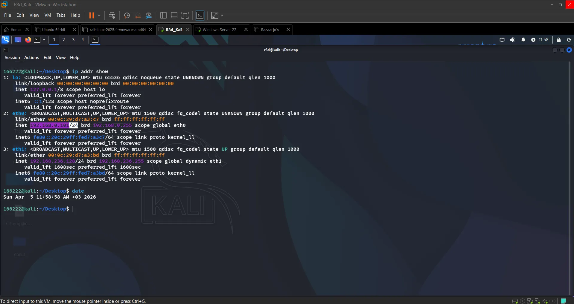 Kali IP configuration