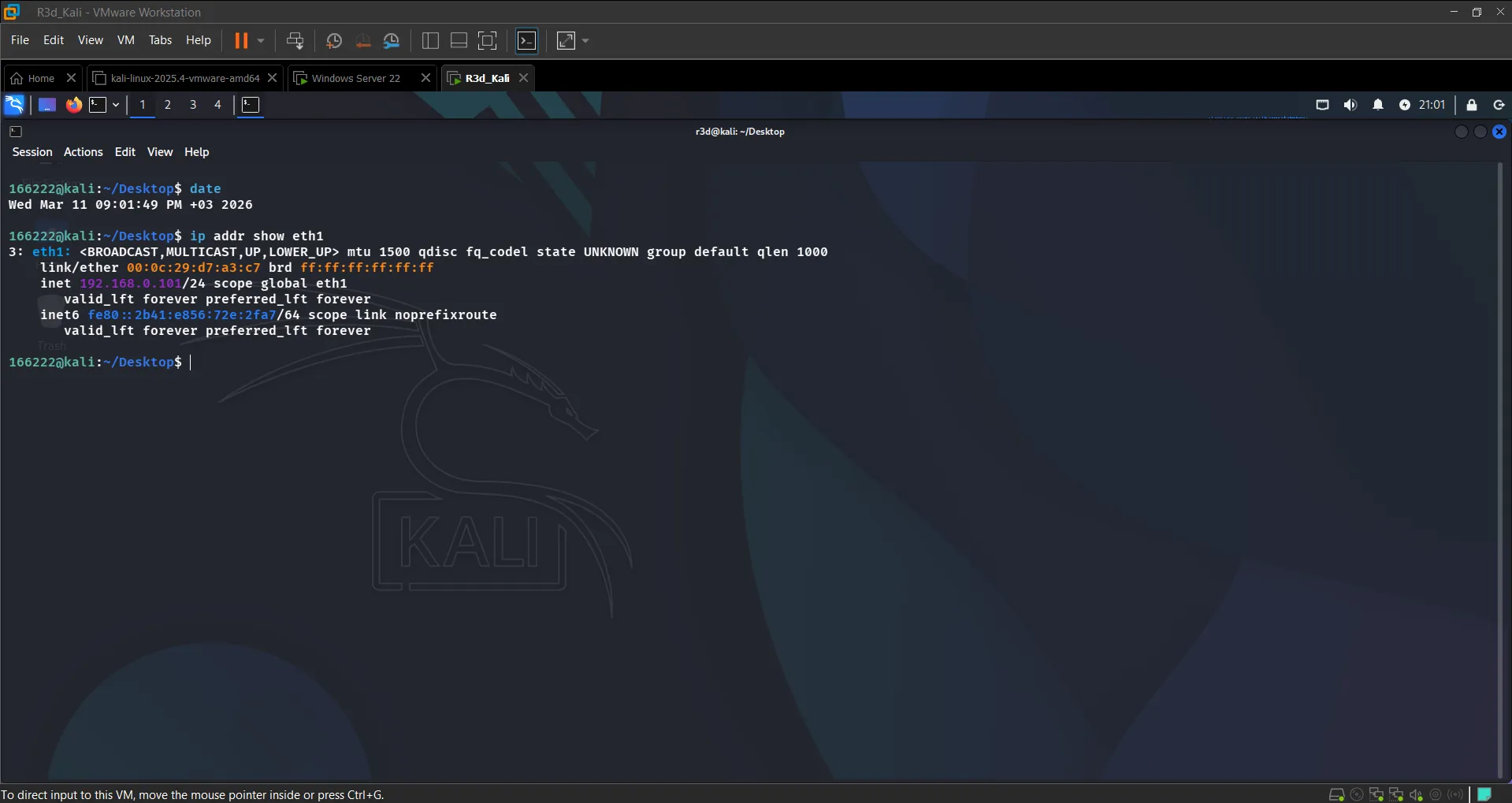 Kali ip addr show