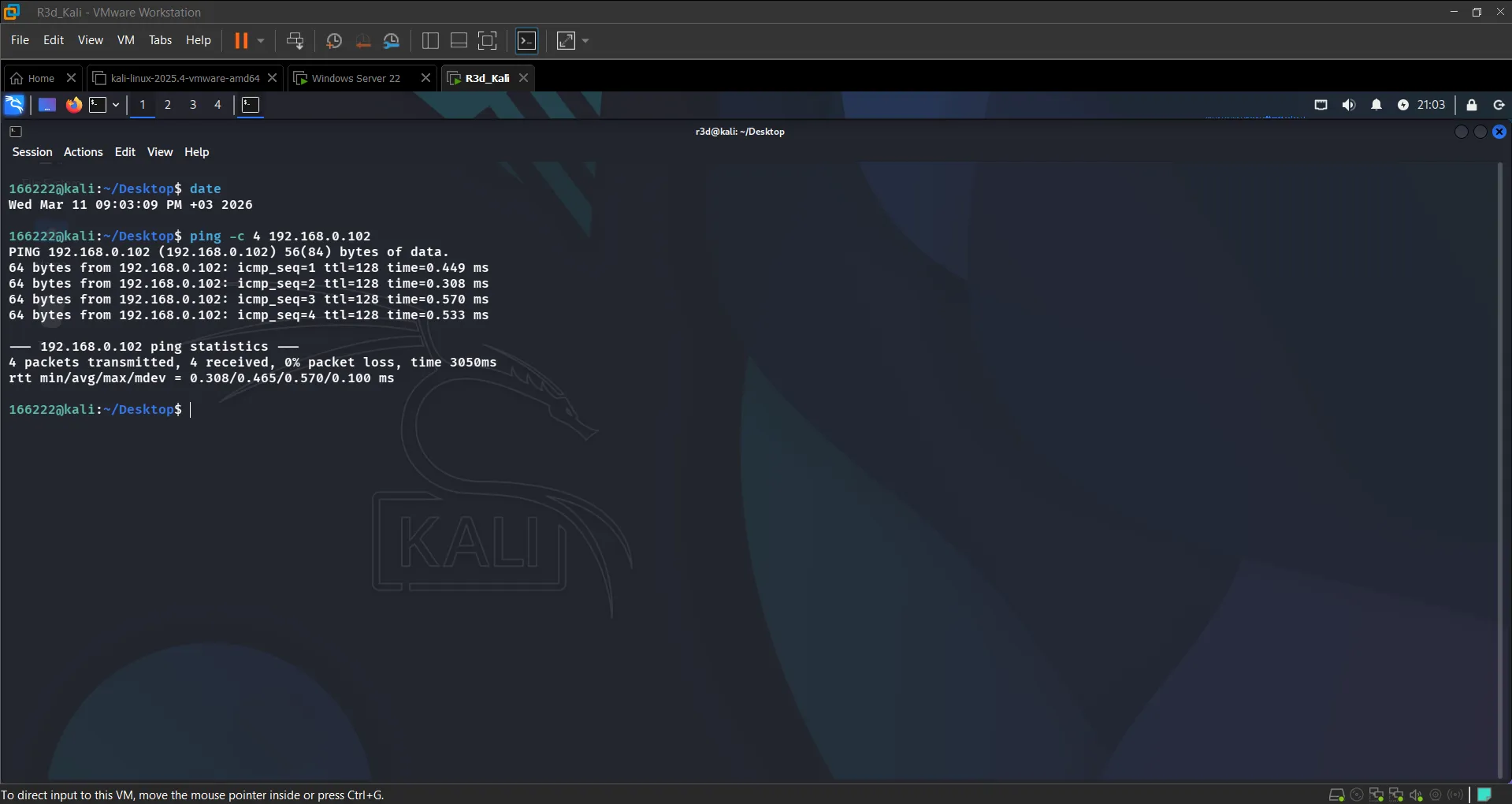 Ping from Kali to Windows