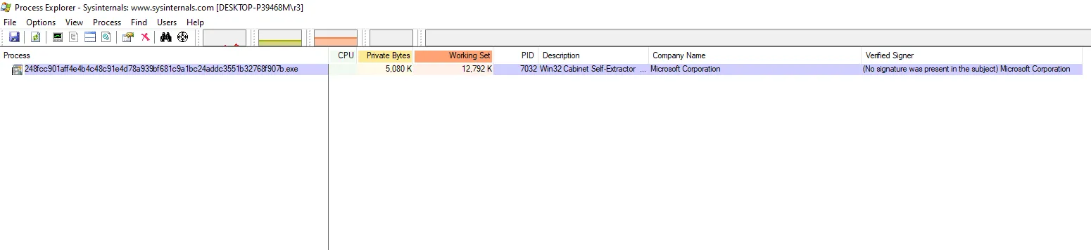 Process Explorer process details