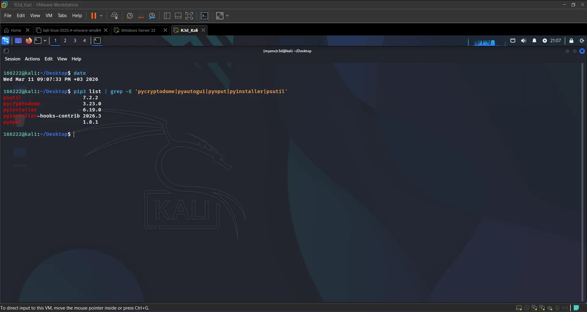 pip list on Kali