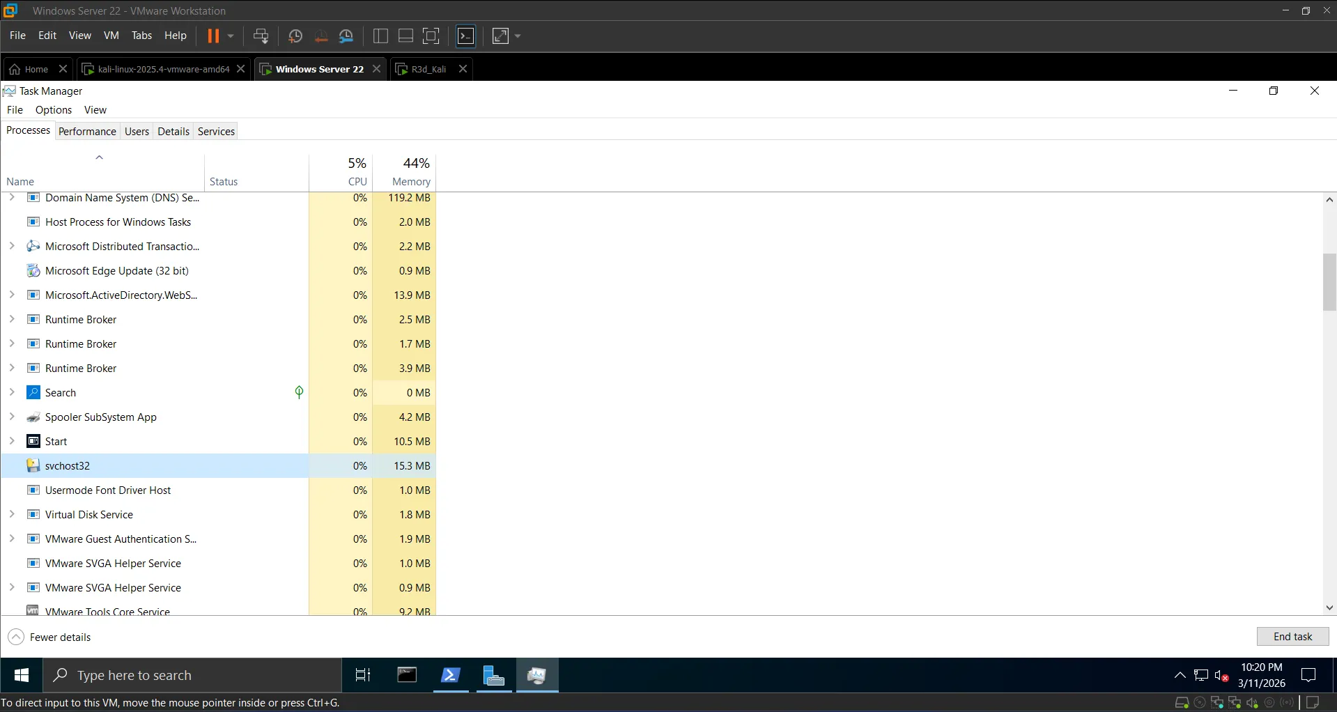 Task Manager showing svchost32.exe