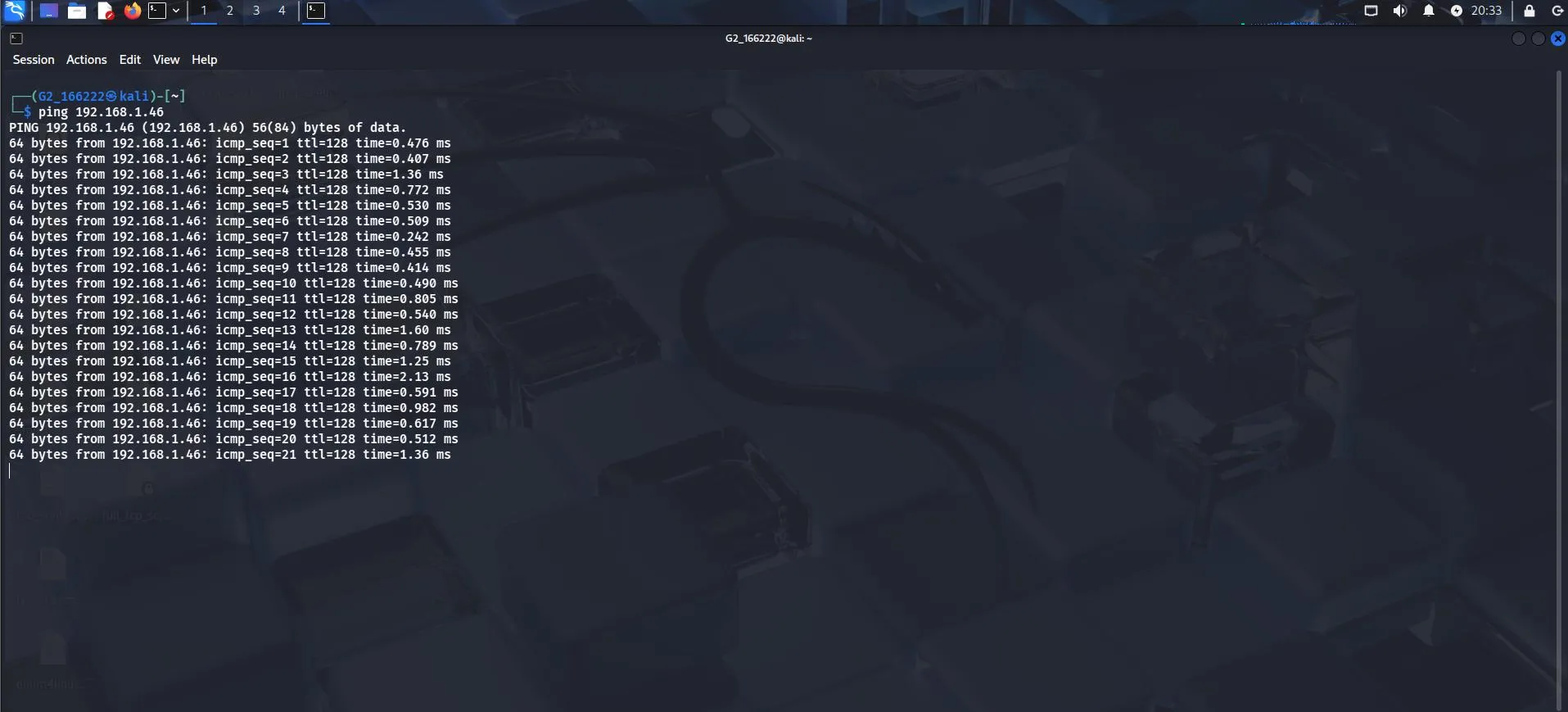Ping test from Kali