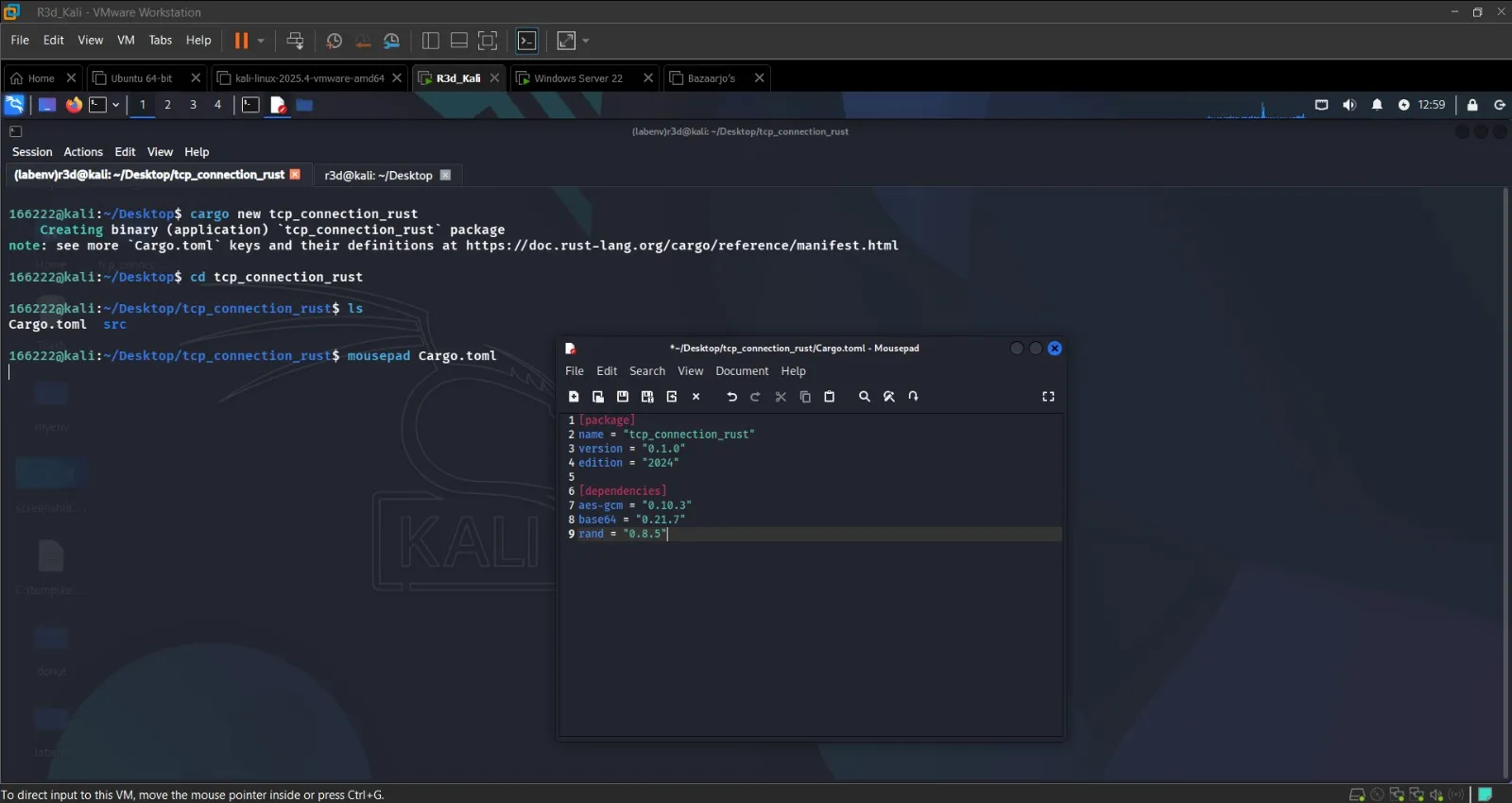 Rust server and client exchange