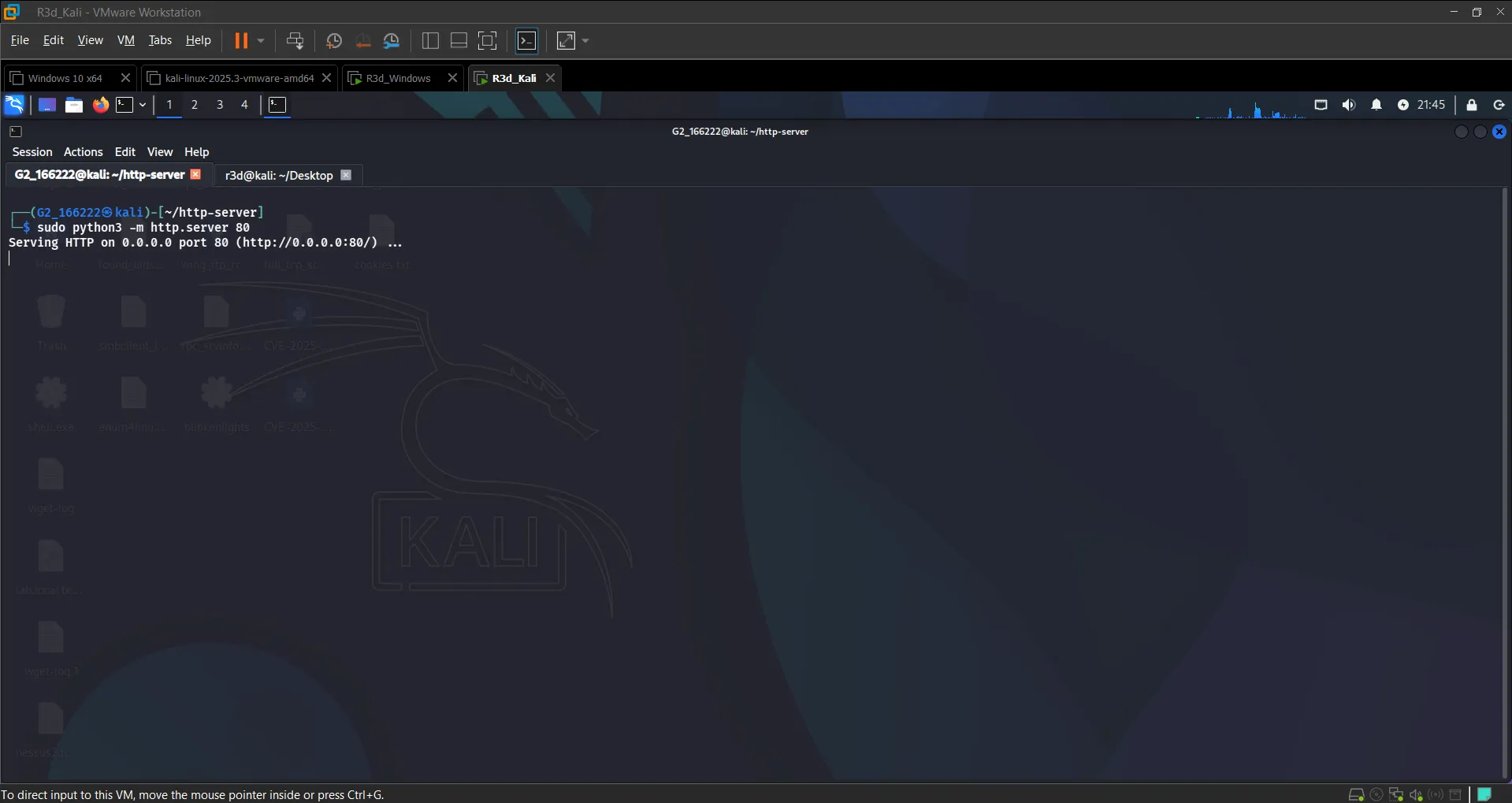 Python HTTP server running on port 80