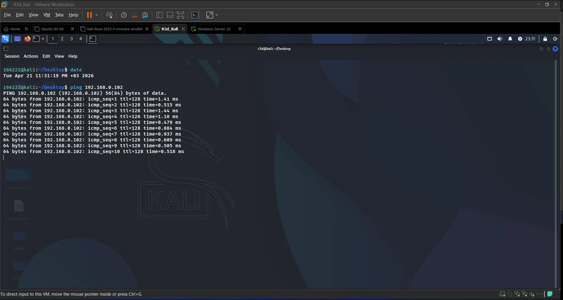 Kali connectivity verification