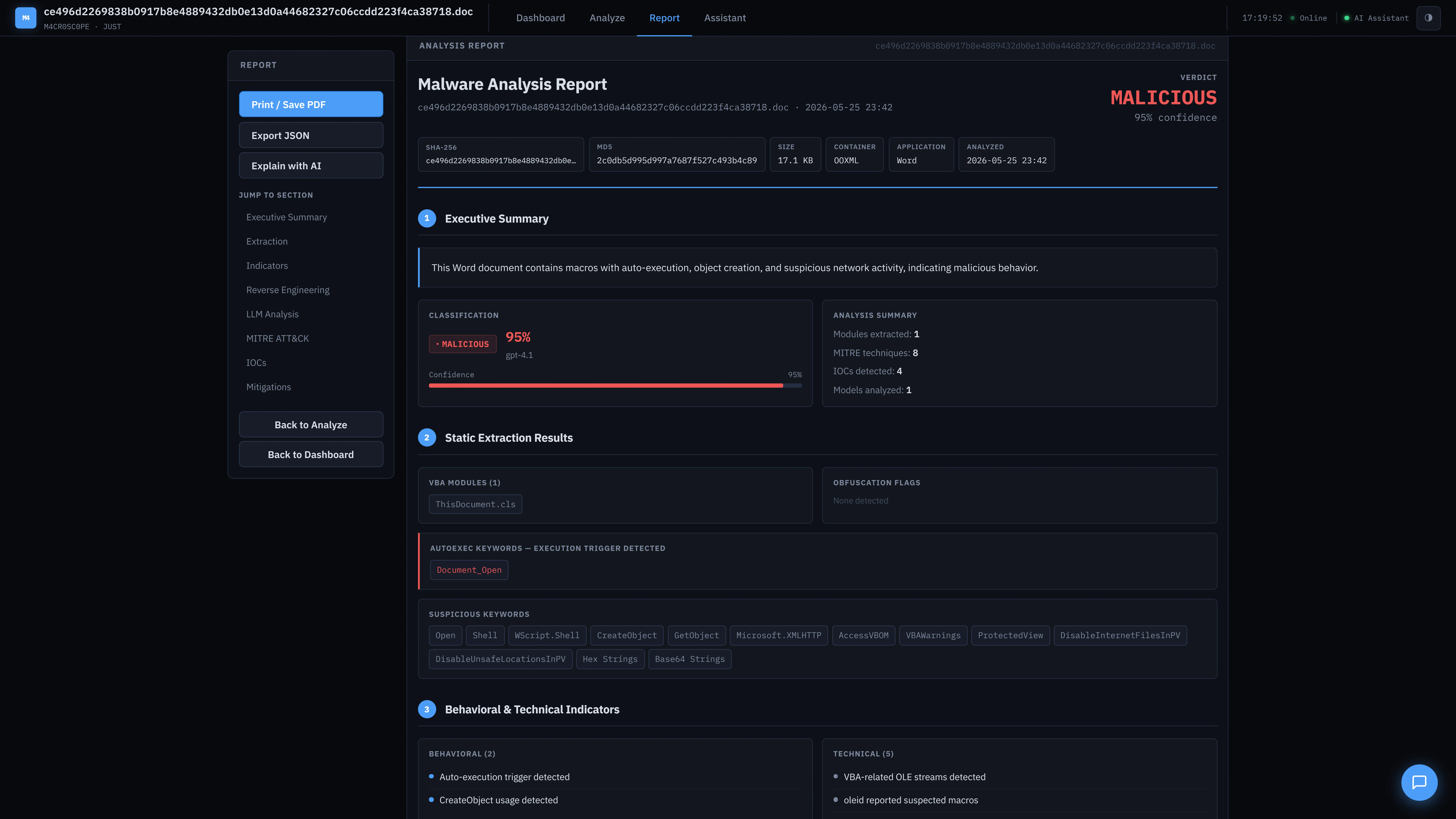 Full structured analysis report
